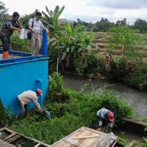 septic tank bio